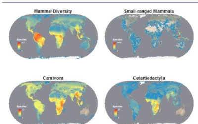 Good Question: Do you have resources on biodiversity hotspots?